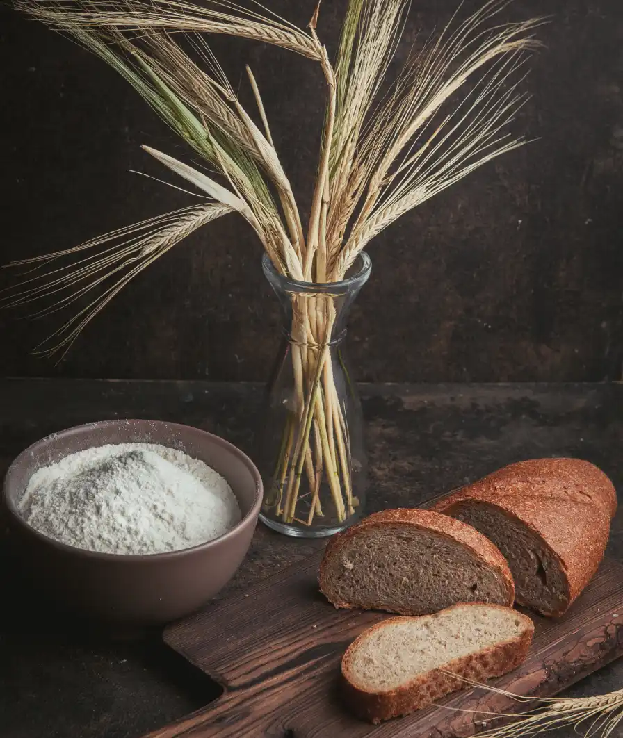 Food-Products2.webp